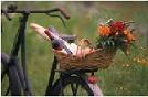 CykelPicnic